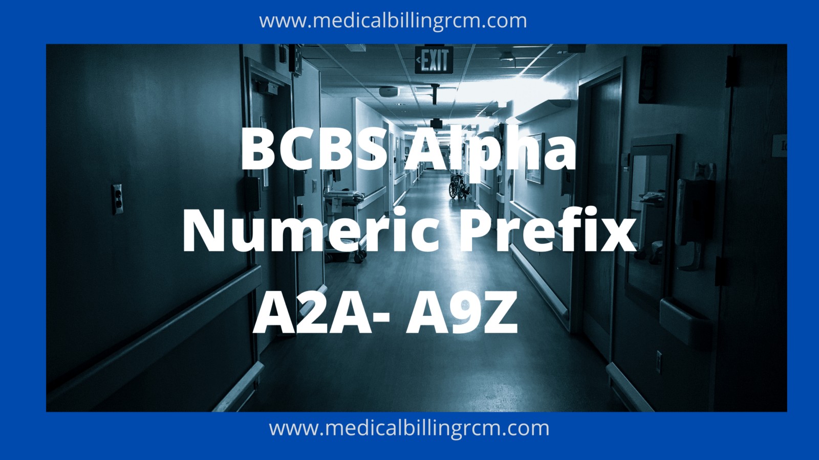 BCBS Alpha Numeric Prefix List A2A to A9Z list
