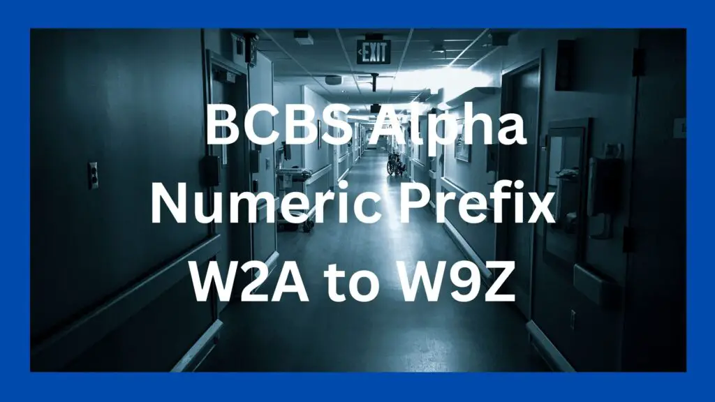 BCBS Alpha Numeric Prefix W2A to W9Z List (2024)