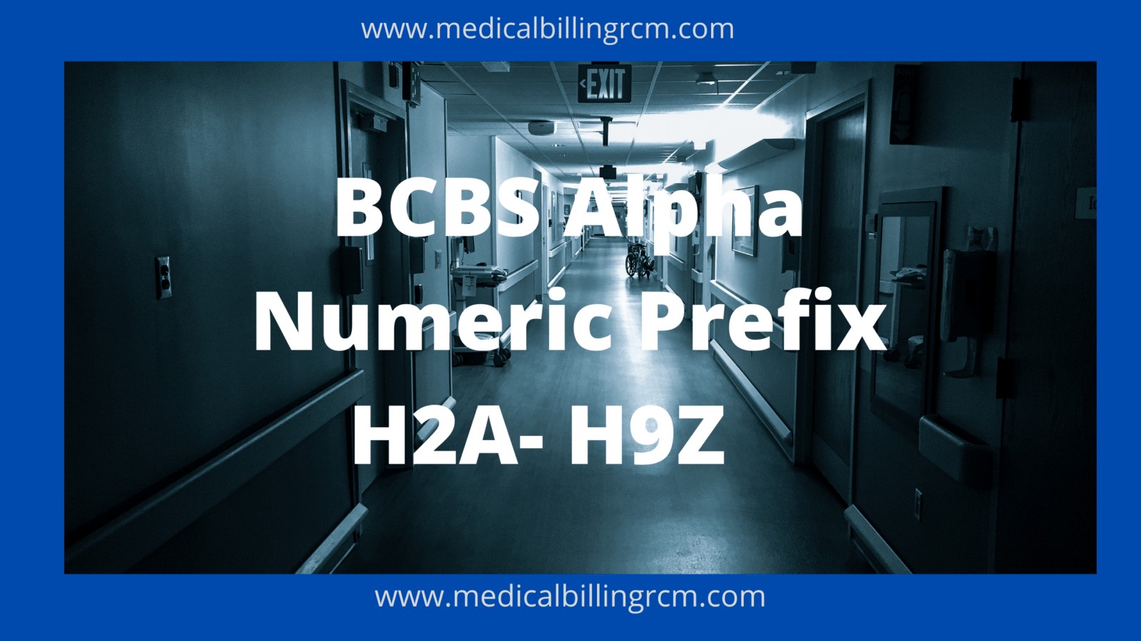 BCBS Alpha numeric Prefix H2A to H9Z