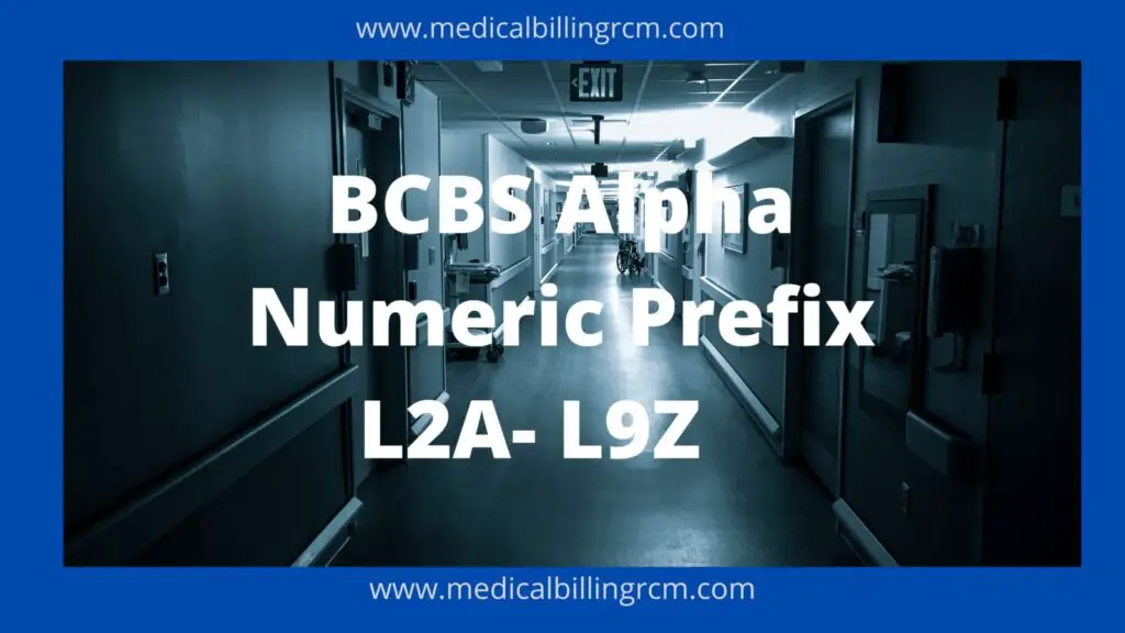 BCBS Alpha Numeric Prefix L2A to L9Z List (2024) 2023 Updated List