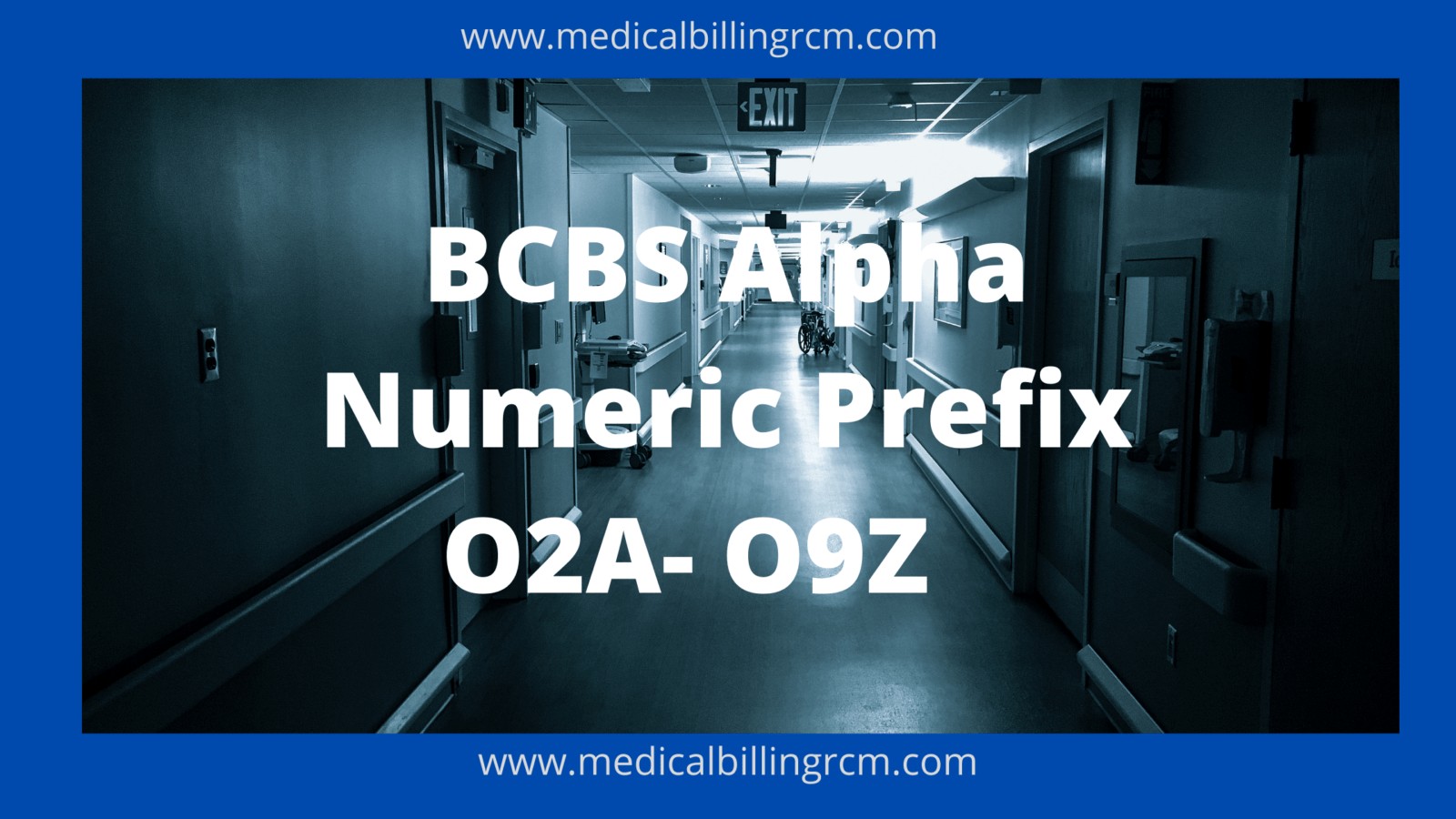 BCBS alpha numeric prefix O2A to O9Z