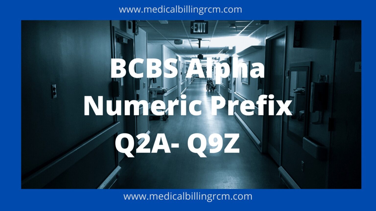 BCBS Alpha Numeric Prefix Q2A to Q9Z List (2024)