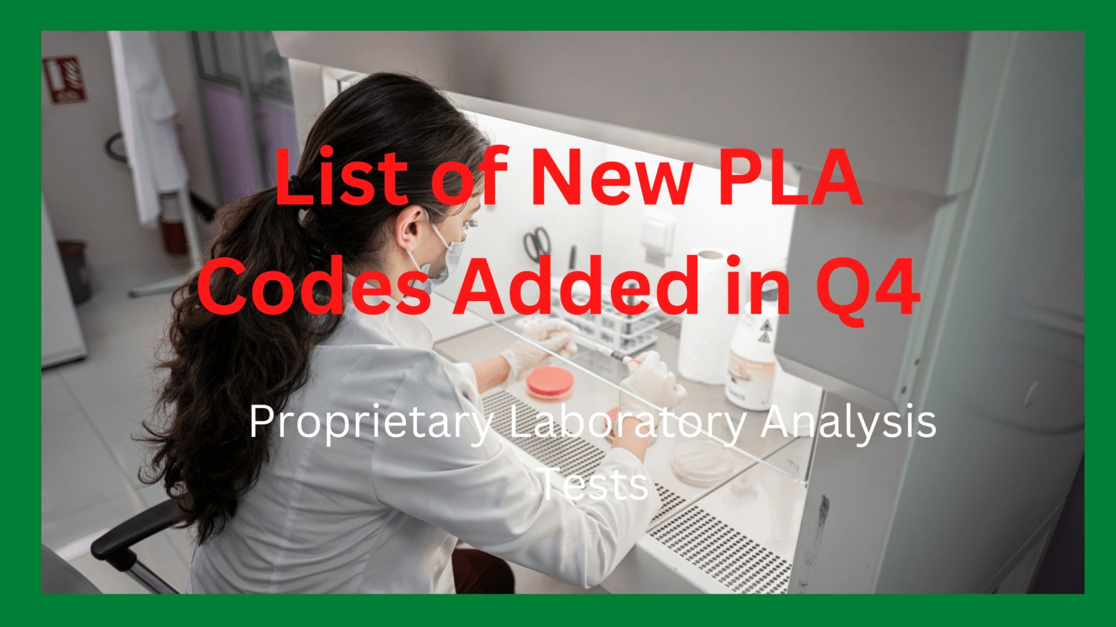 new added PLA codes in Q4