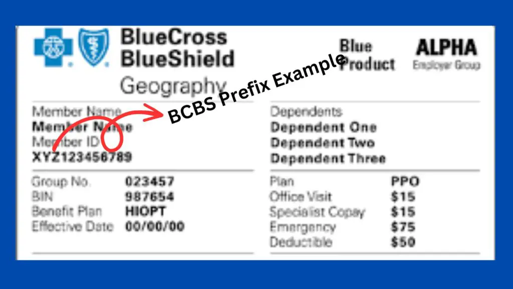 Blue Cross Blue Shield Alpha Prefix