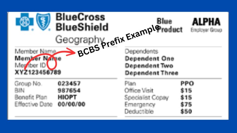 BCBS Alpha Prefix List 2024 - Medical Billing RCM