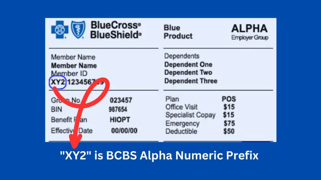 BCBS alpha numeric prefix