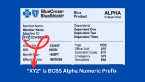 BCBS Alpha Prefix List 2024 - Medical Billing RCM