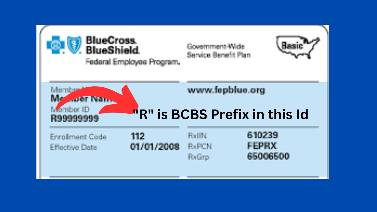 BCBS Alpha Prefix List 2024 BCBS Prefix Lookup by State