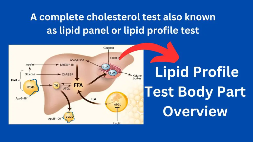 icd 10 code for lipid profile test