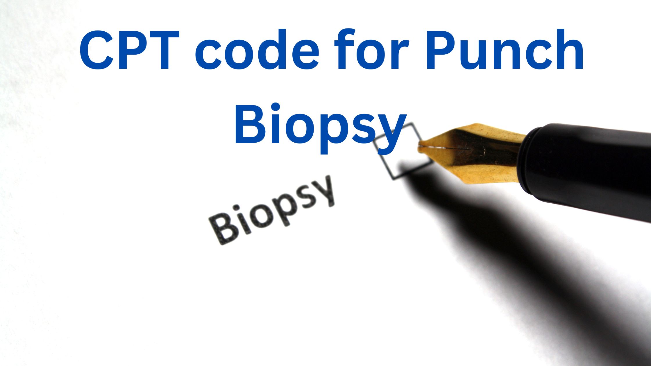 CPT code for punch biopsy