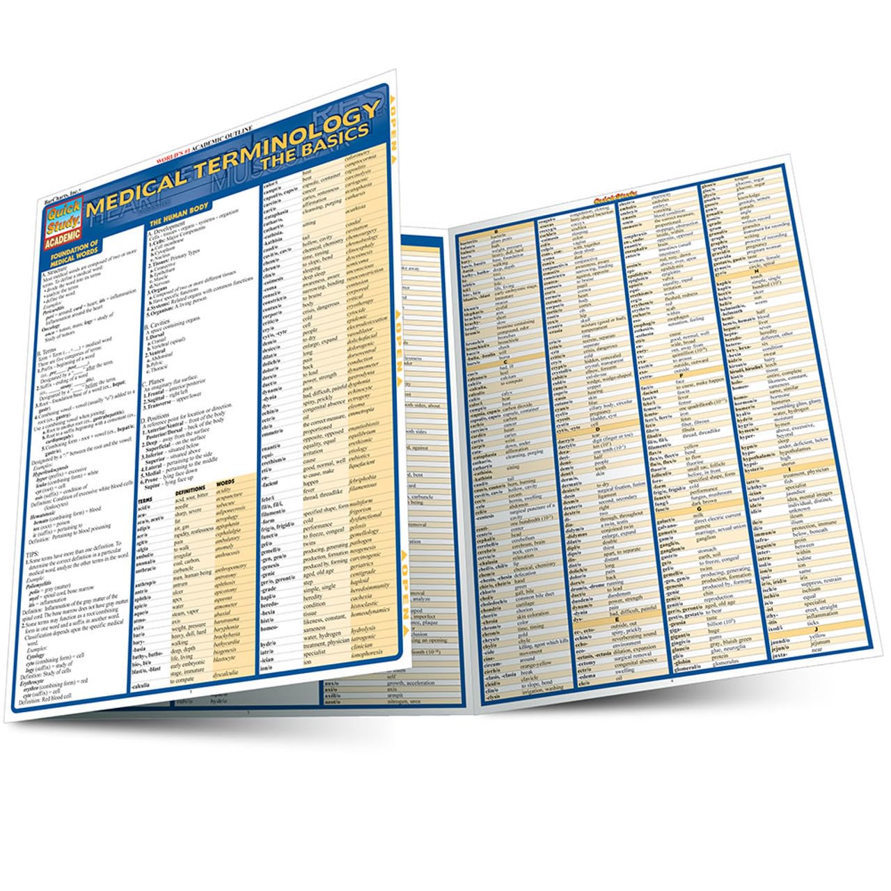 Medical Terminology: The Basics Quick Reference Guide